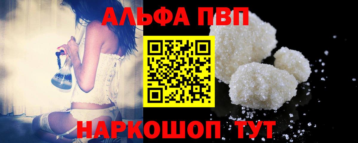 Alfa_PVP СК Сунжа