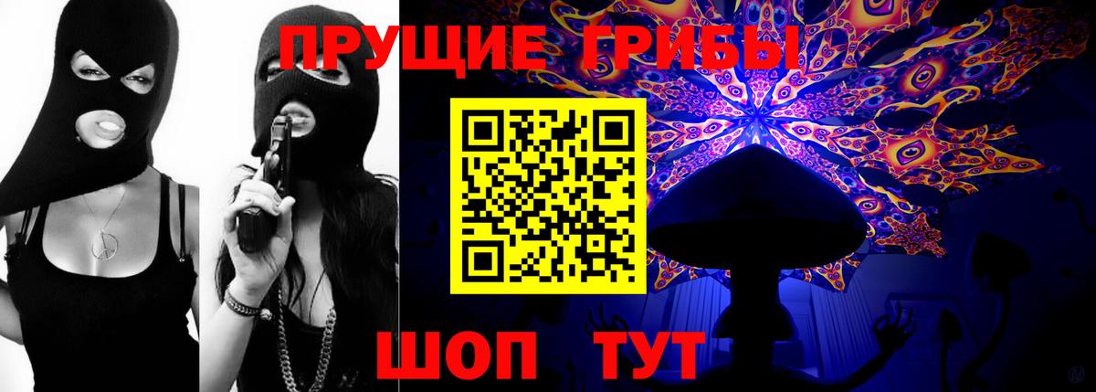 Псилоцибиновые грибы Psilocybe  Вход с VPN  наркотики  Сунжа  Псилоцибиновые грибы мицелий 